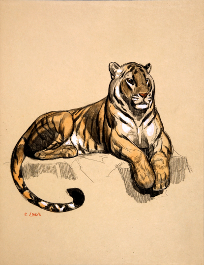 Paul JOUVE (1878-1973) - Tigre couché, 1925